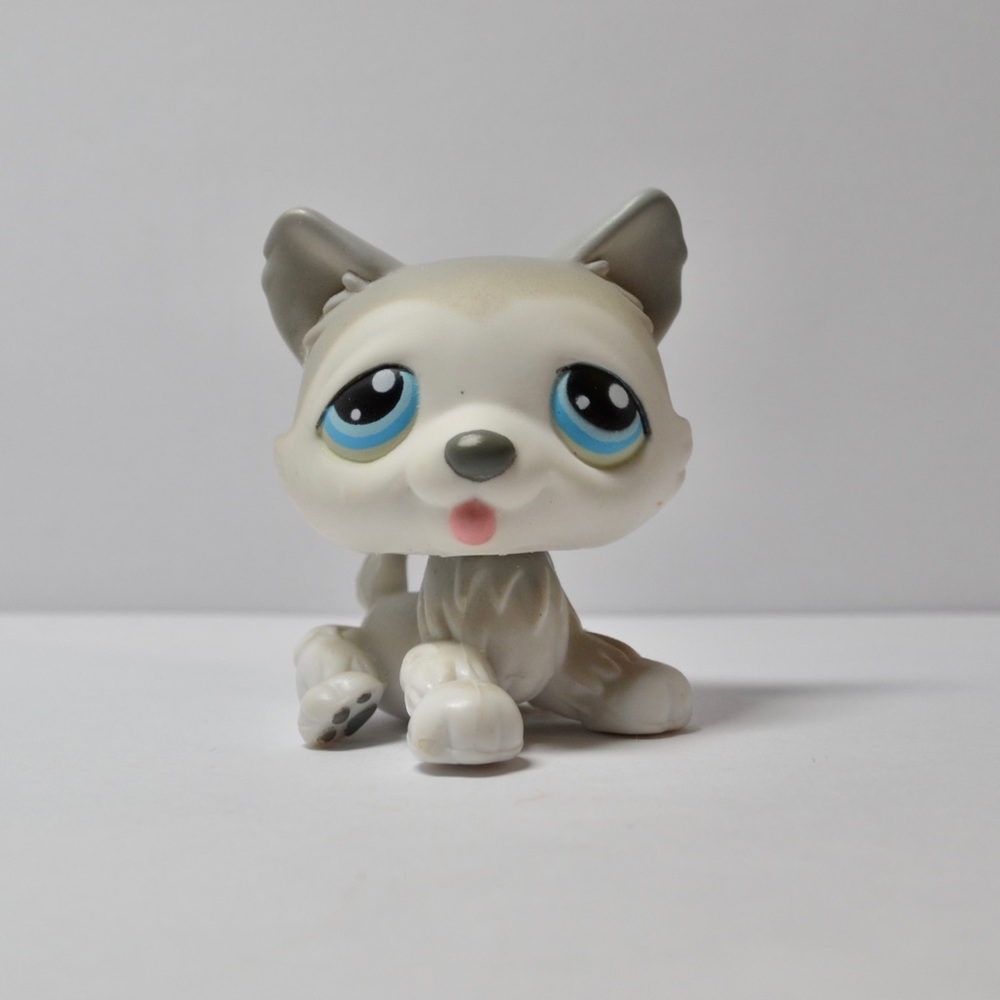 Littlest Pet Shop # 70 Gray Grey Sitting Husky Polar Puppy Dog Blue Eyes